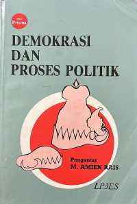 Demokrasi dan Proses Politik