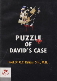 Puzzle of David's Case